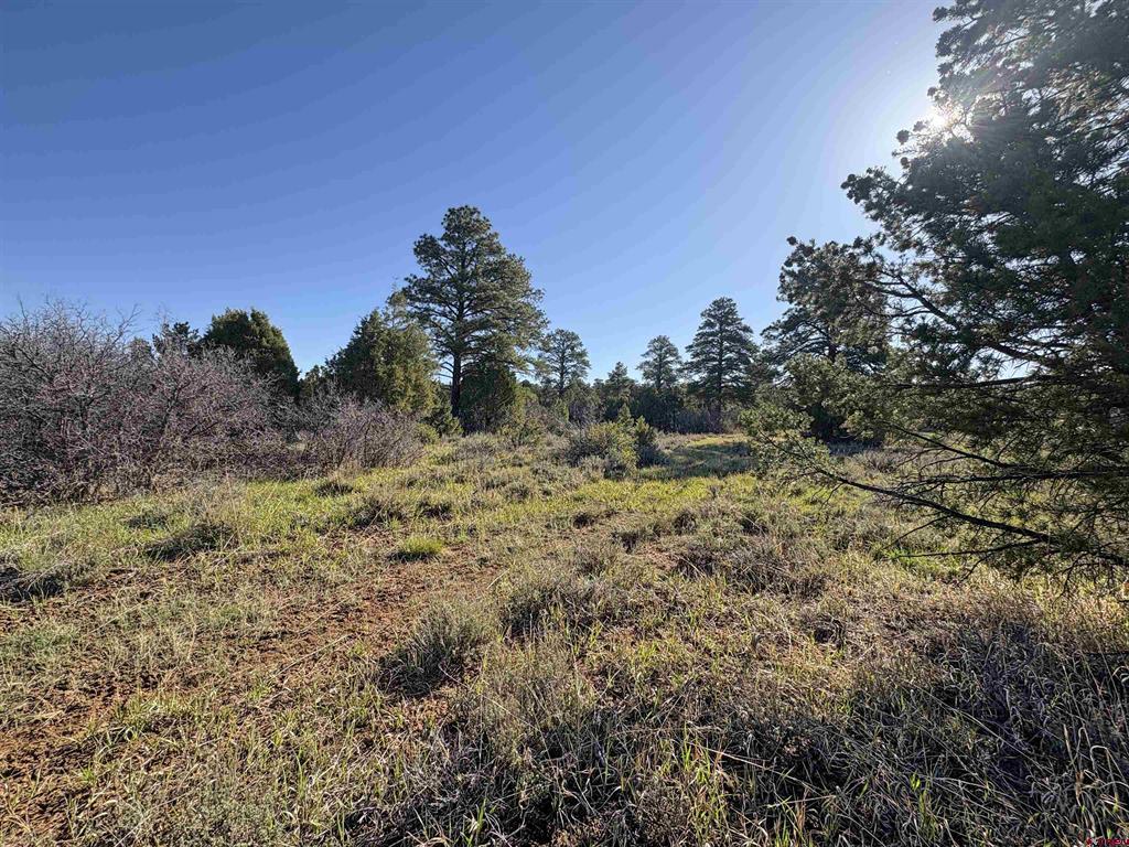 Lot 10 Road P.2 Loop