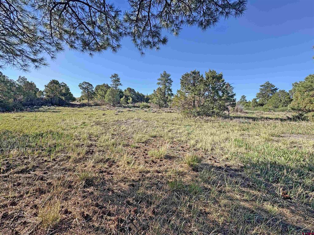 Lot 10 Road P.2 Loop