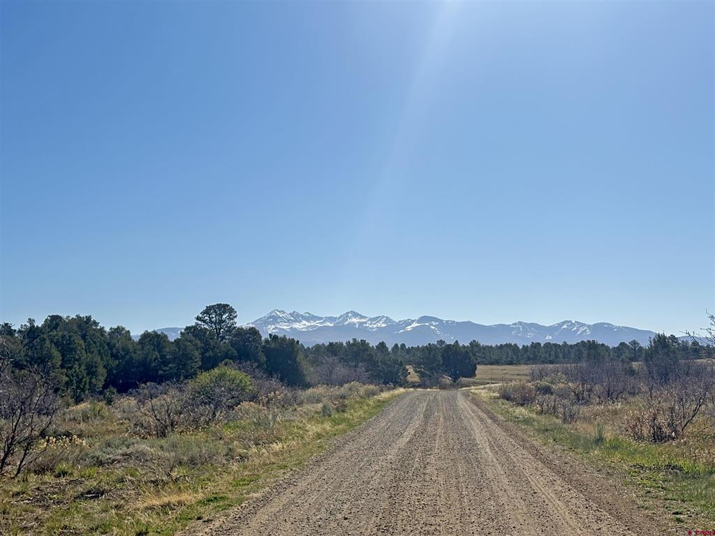Lot 10 Road P.2 Loop