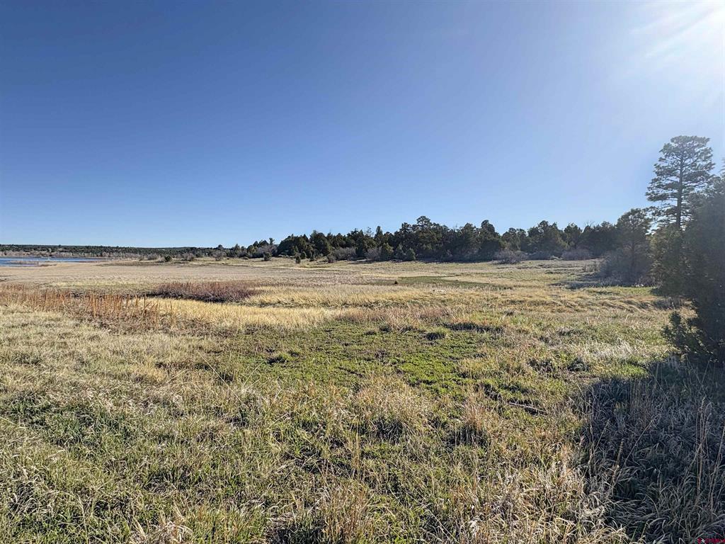 Lot 10 Road P.2 Loop