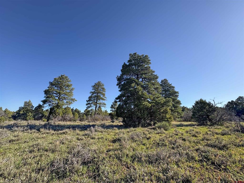 Lot 10 Road P.2 Loop