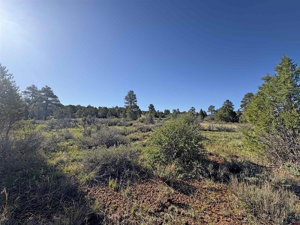 Lot 10 Road P.2 Loop