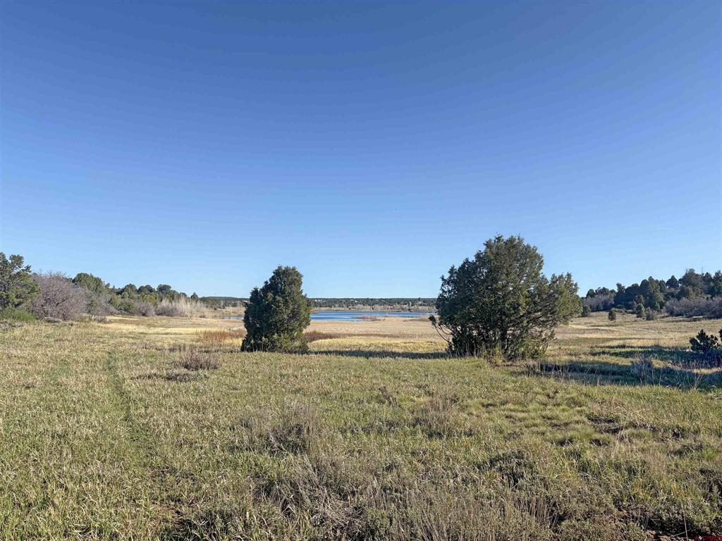 Lot 10 Road P.2 Loop