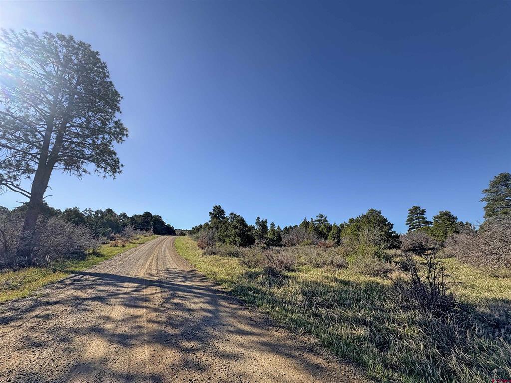 Lot 10 Road P.2 Loop