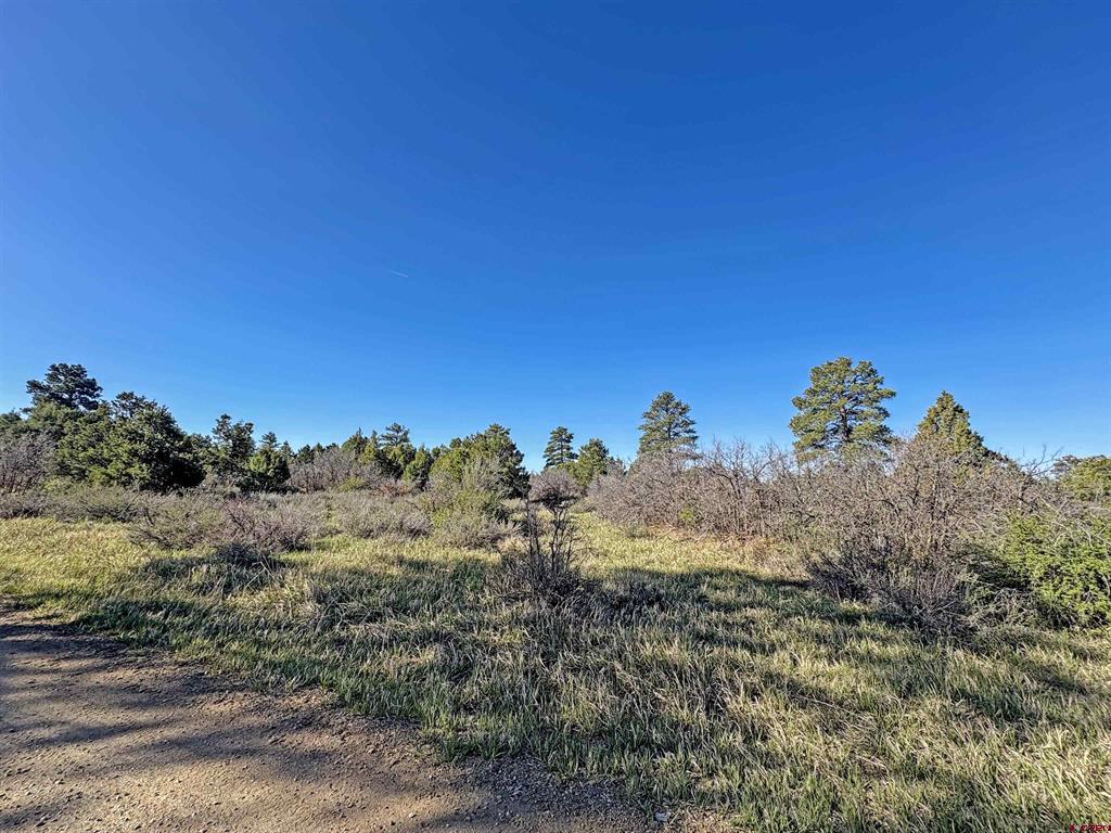 Lot 10 Road P.2 Loop