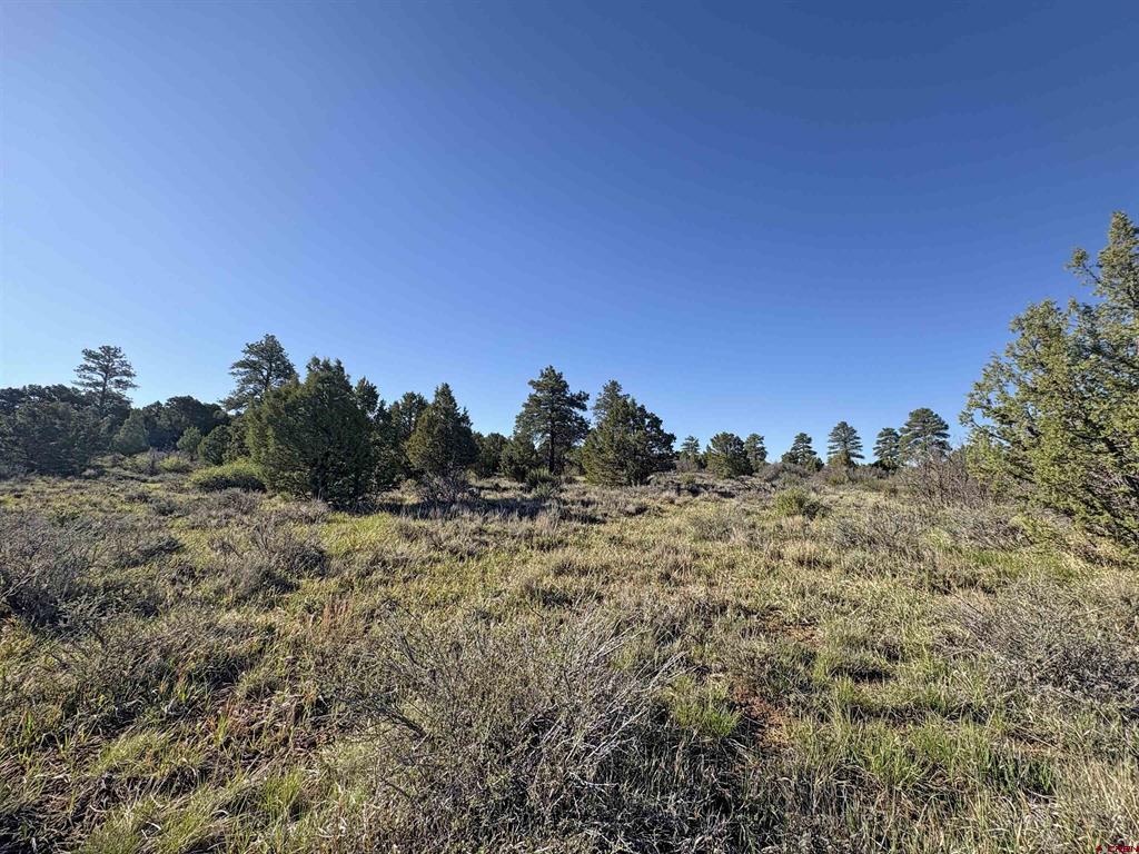 Lot 10 Road P.2 Loop
