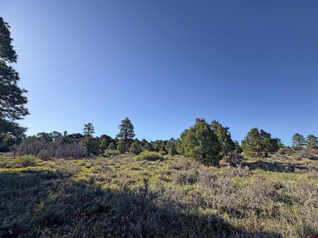 Lot 10 Road P.2 Loop