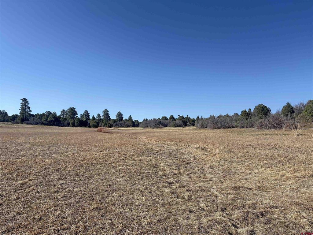 Lot 10 Road P.2 Loop