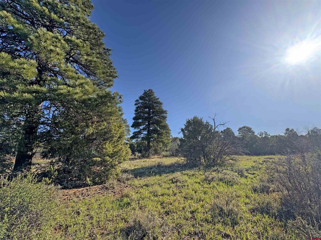 Lot 10 Road P.2 Loop