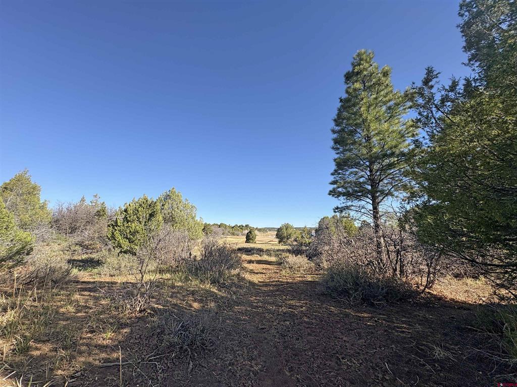Lot 10 Road P.2 Loop