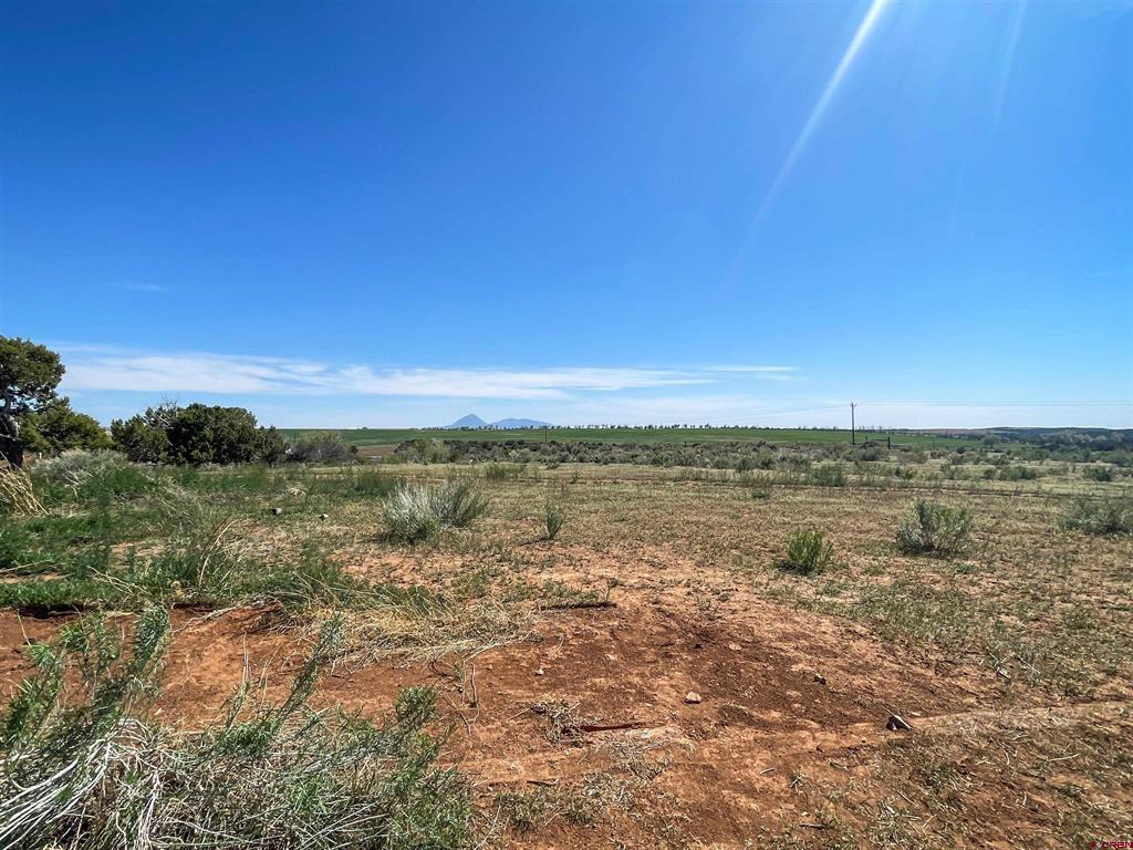24138 Highway 491