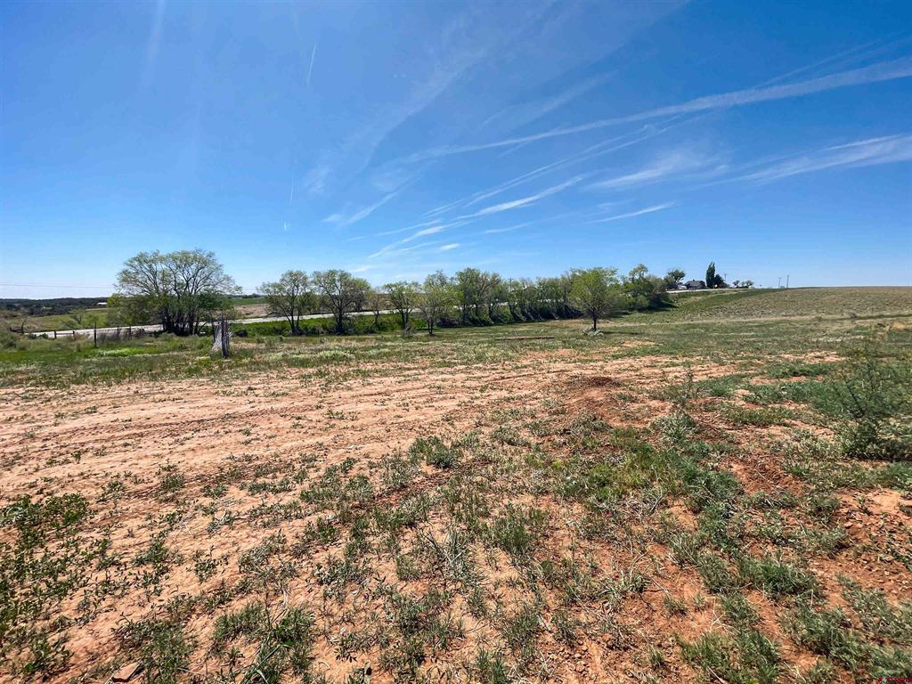 24138 Highway 491