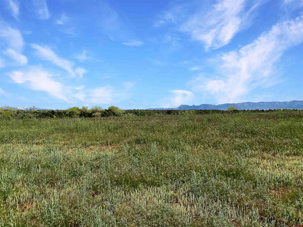 25471 Road S.6