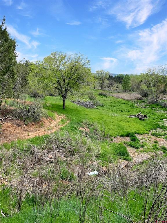 25471 Road S.6