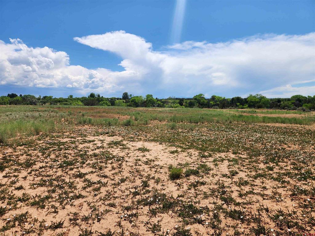 25471 Road S.6