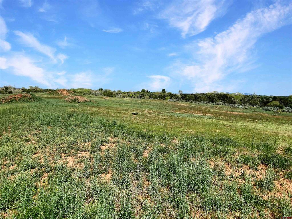 25471 Road S.6