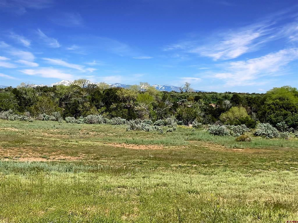 25471 Road S.6