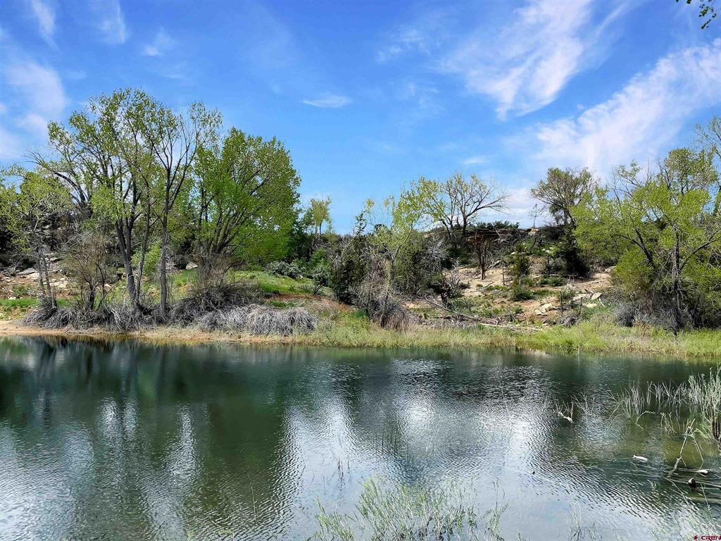 25471 Road S.6