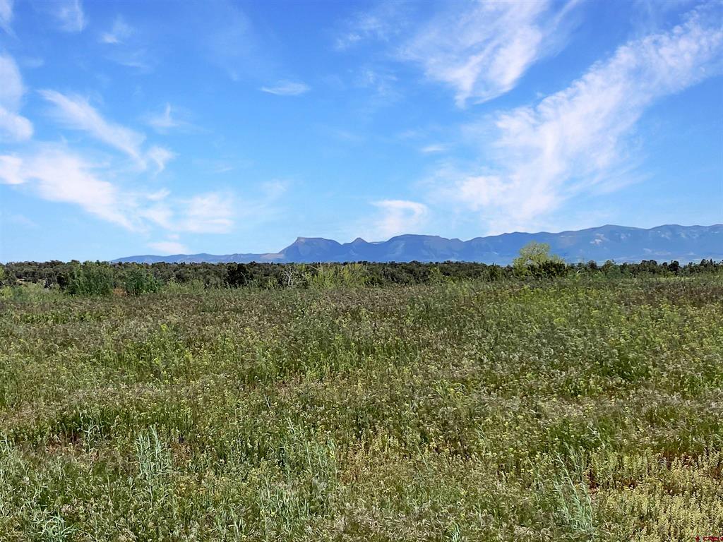 25471 Road S.6