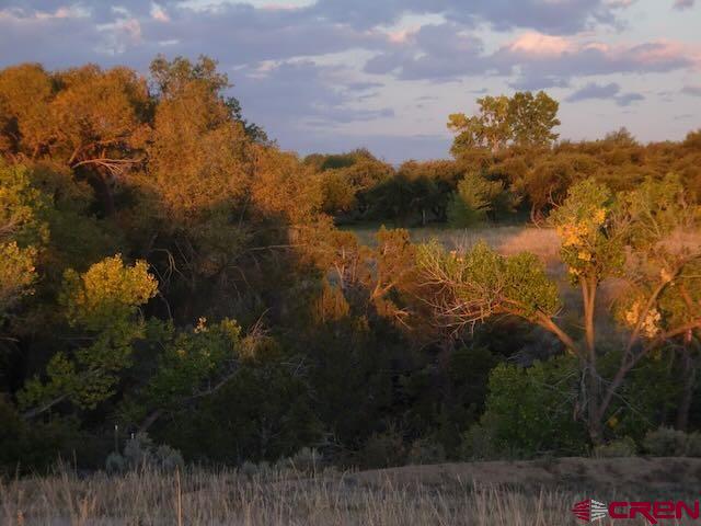 25471 Road S.6