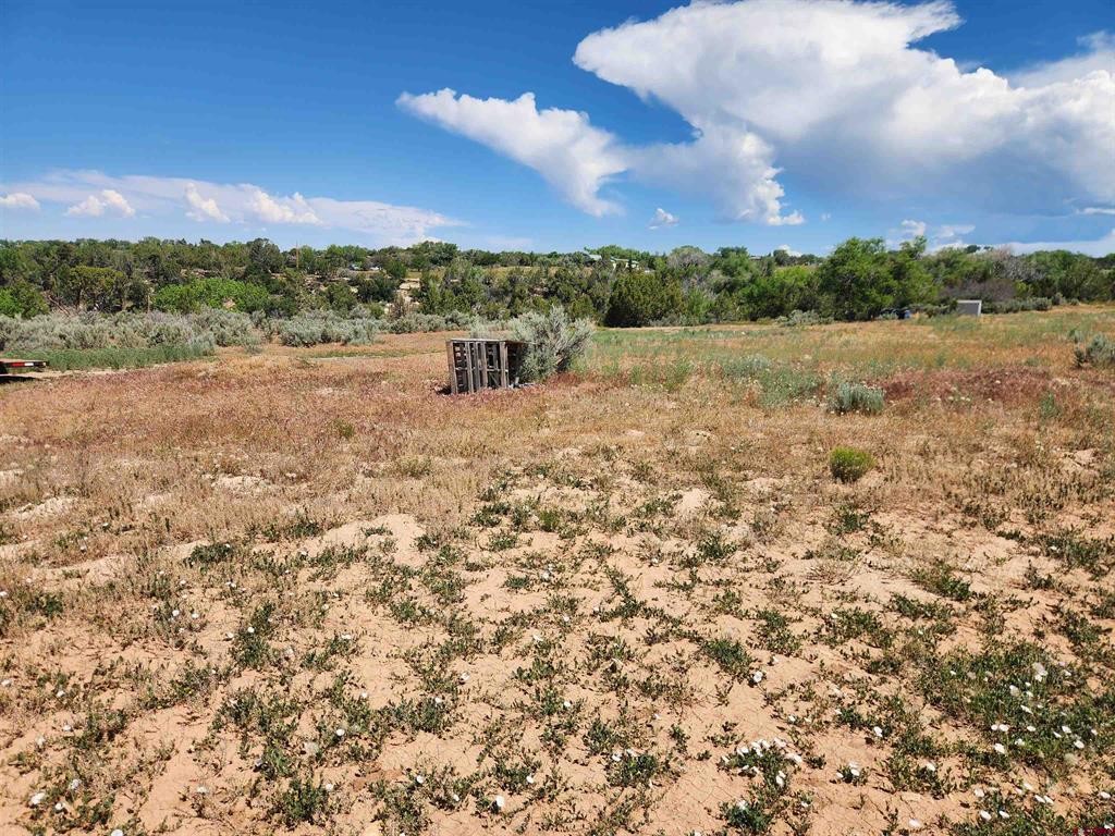25471 Road S.6