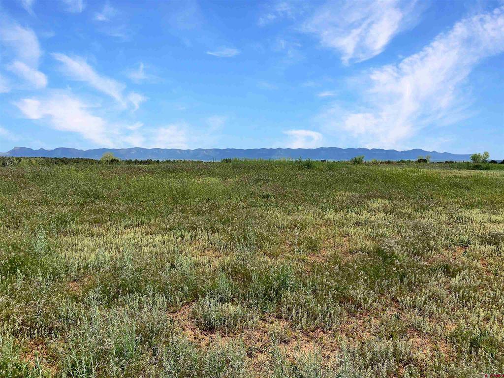 25471 Road S.6