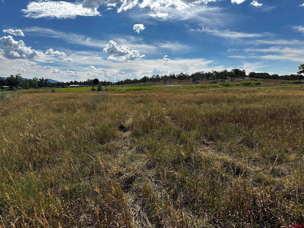 Lot 1AMD Lot:1A Road M