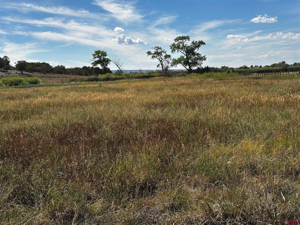 Lot 1AMD Lot:1A Road M
