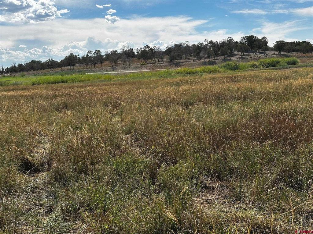 Lot 1AMD Lot:1A Road M