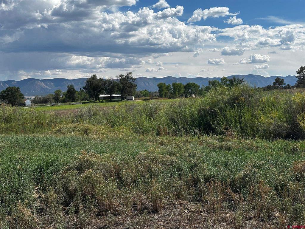 Lot 1AMD Lot:1A Road M