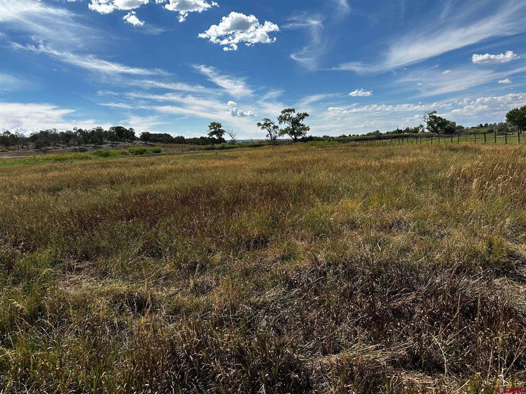 Lot 1AMD Lot:1A Road M