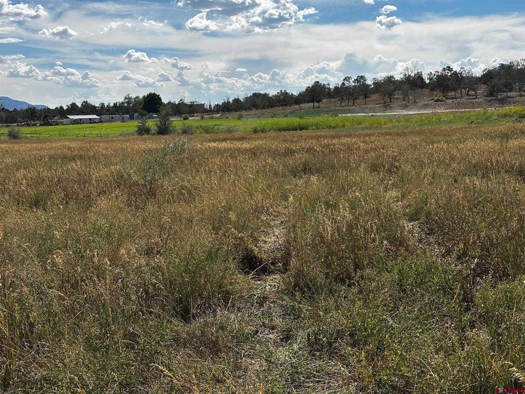 Lot 1AMD Lot:1A Road M