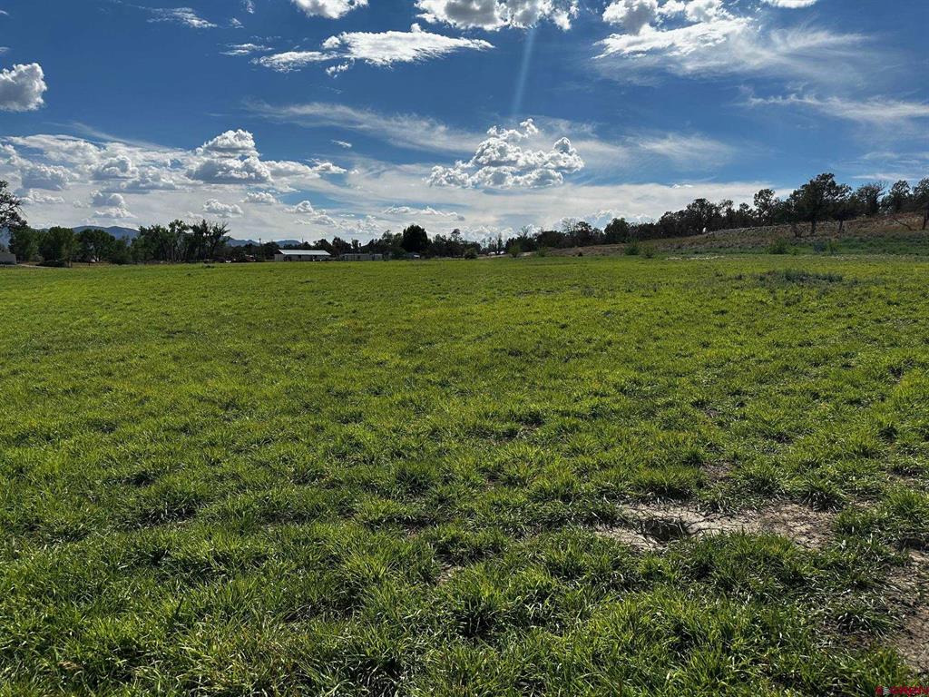 Lot 1AMD Lot:1A Road M