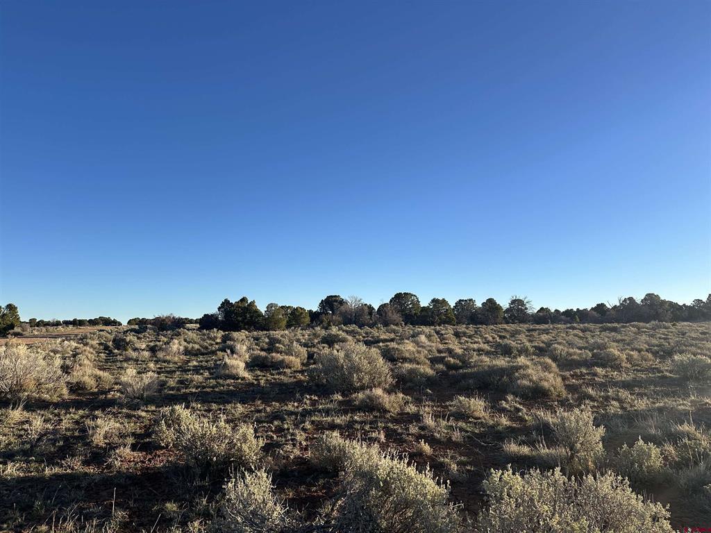 Tract 14 9K Road