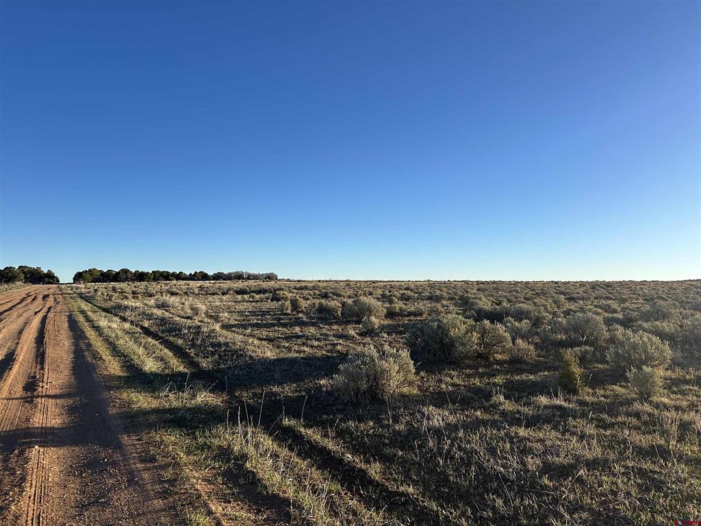 Tract 14 9K Road