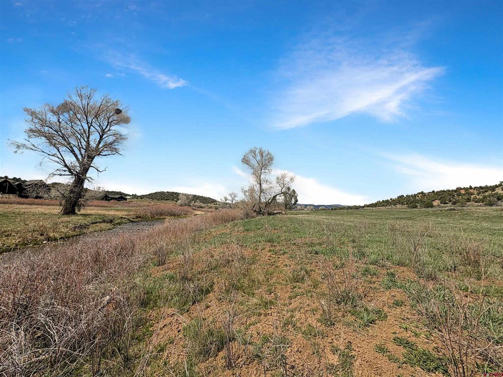 231 Bareback Lane