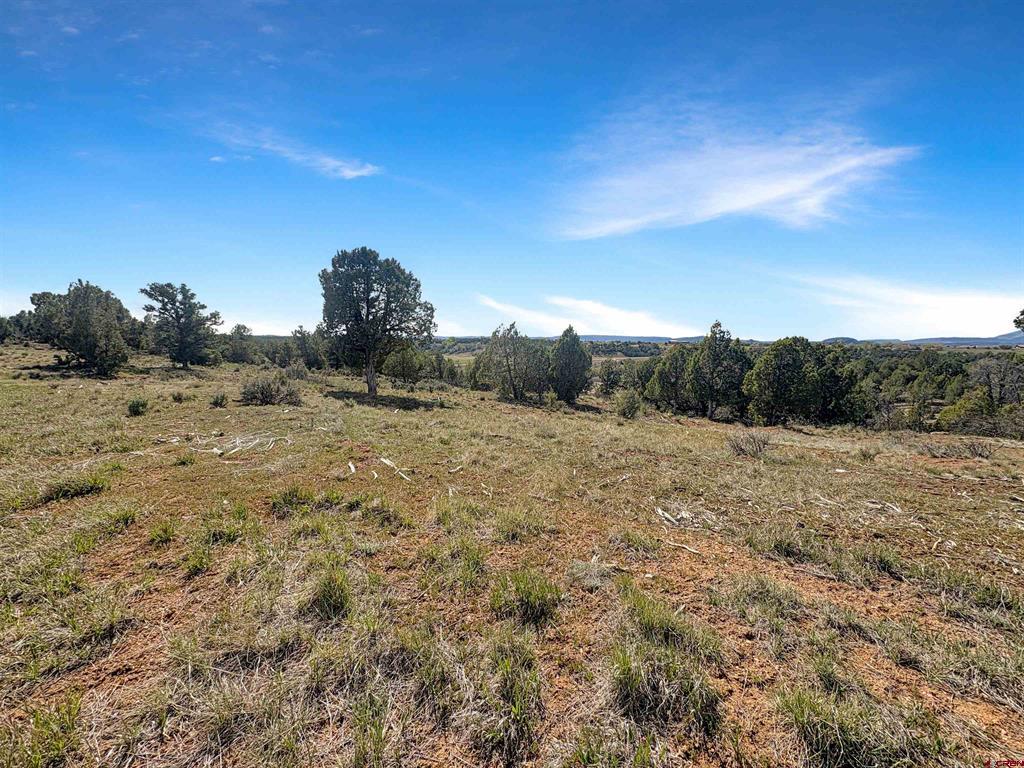 231 Bareback Lane