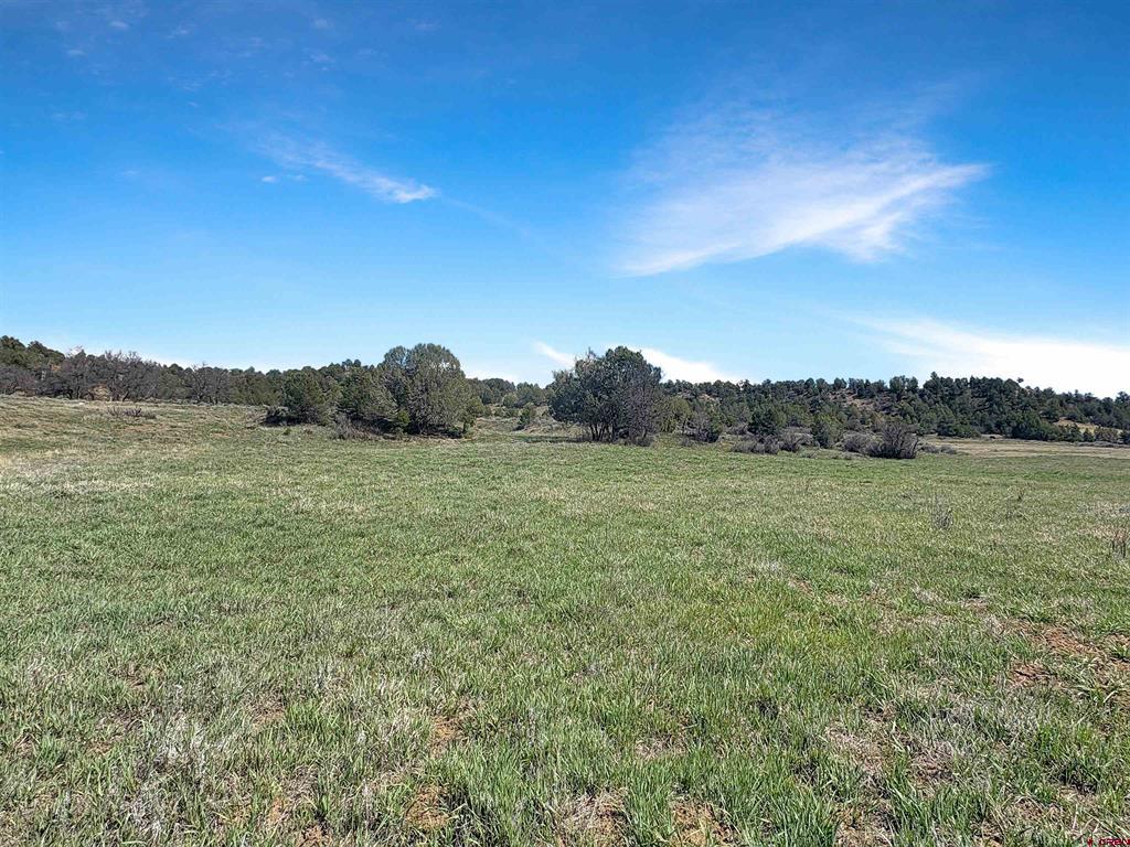 231 Bareback Lane