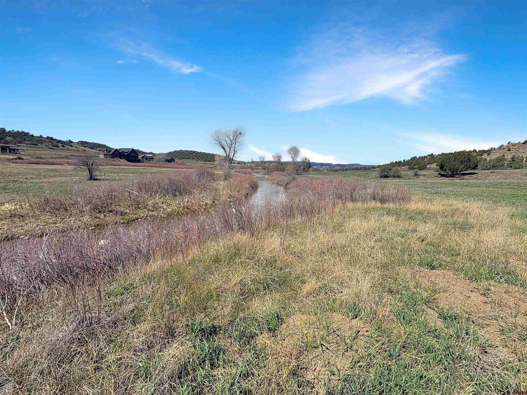 231 Bareback Lane