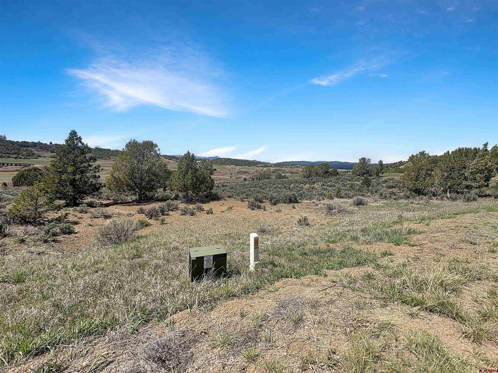 231 Bareback Lane