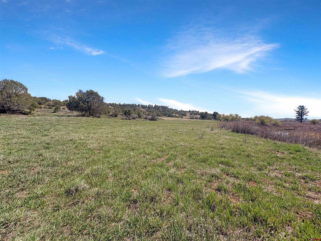 231 Bareback Lane