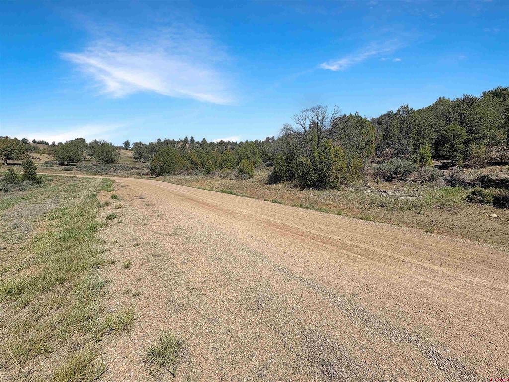 231 Bareback Lane