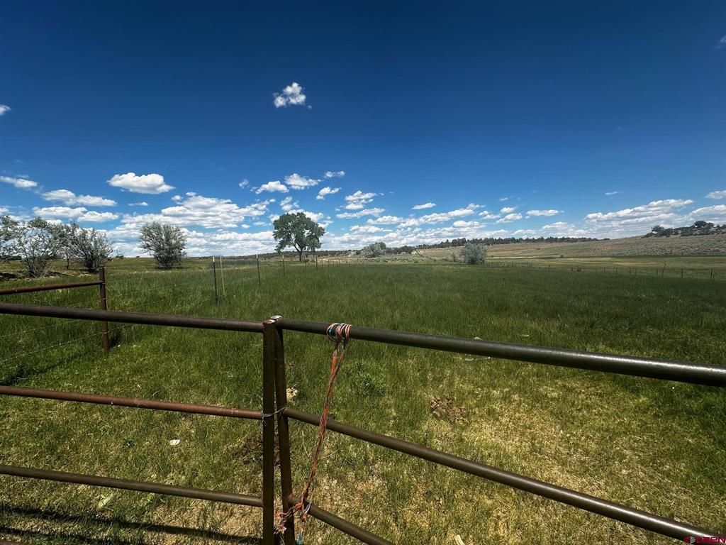 TBD Road V.3