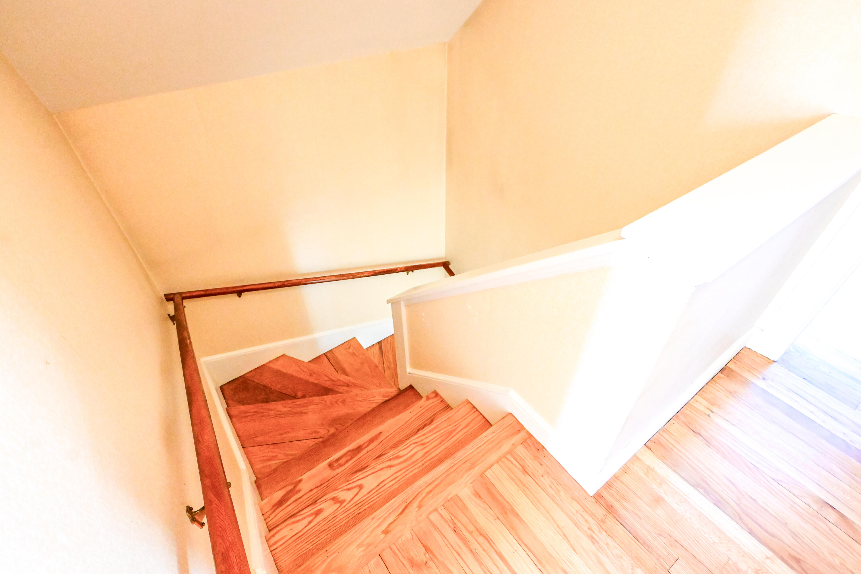 104 Whitney Avenue
