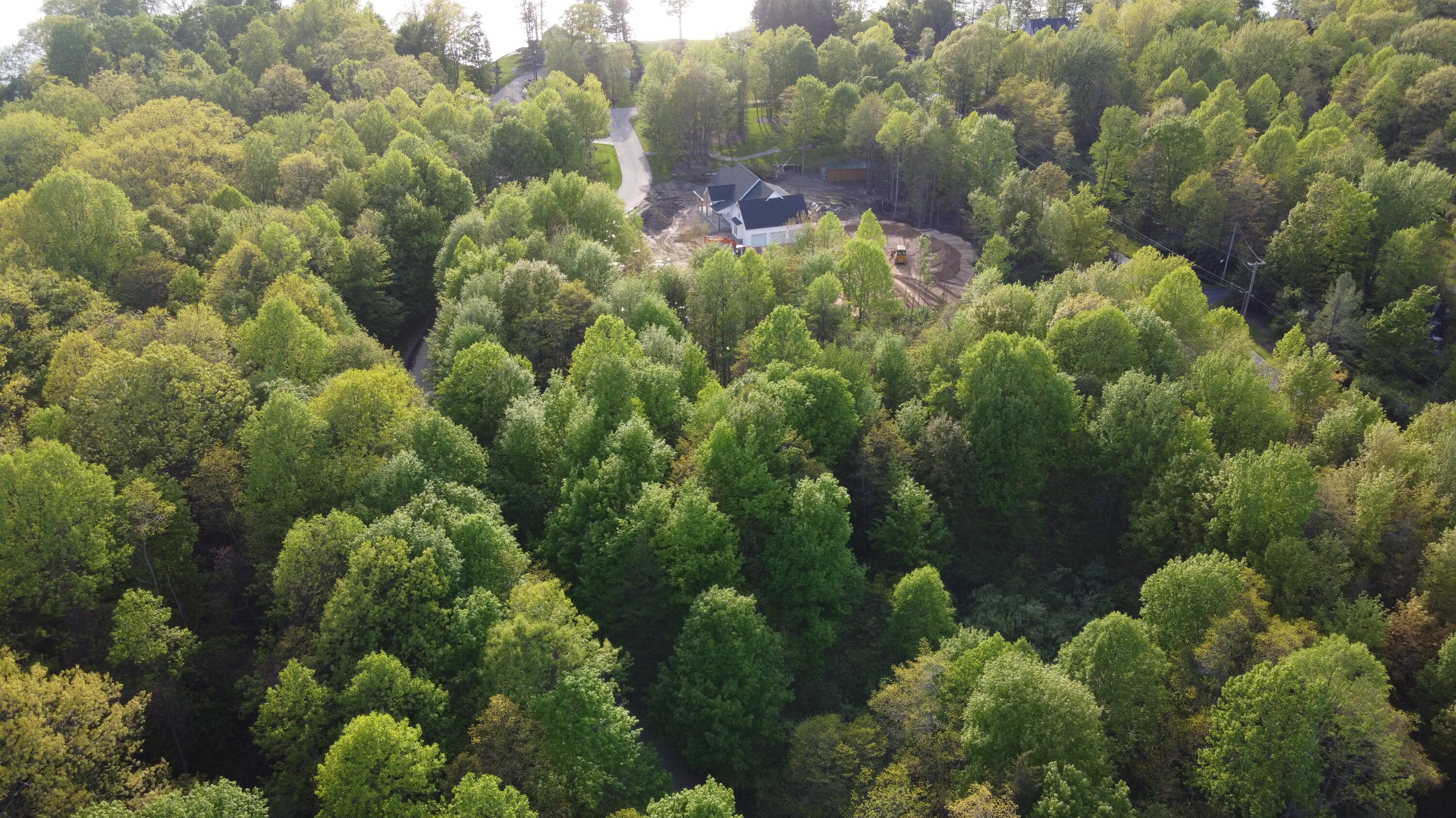 7155 Cottage Lane Lane