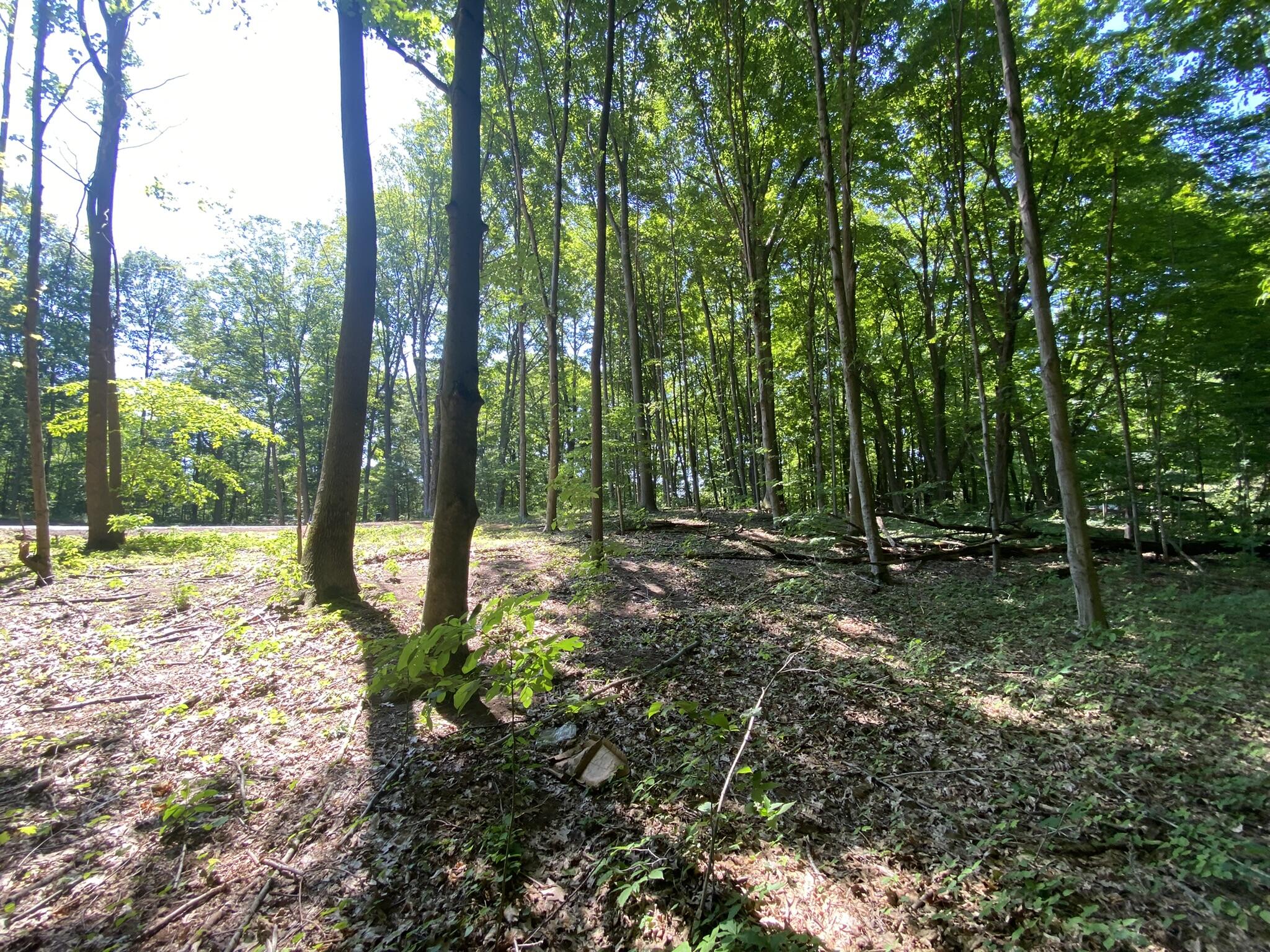 14606 Crest View Court