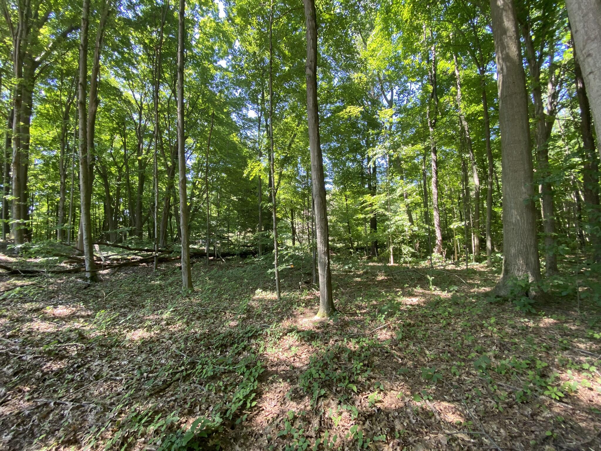 14606 Crest View Court