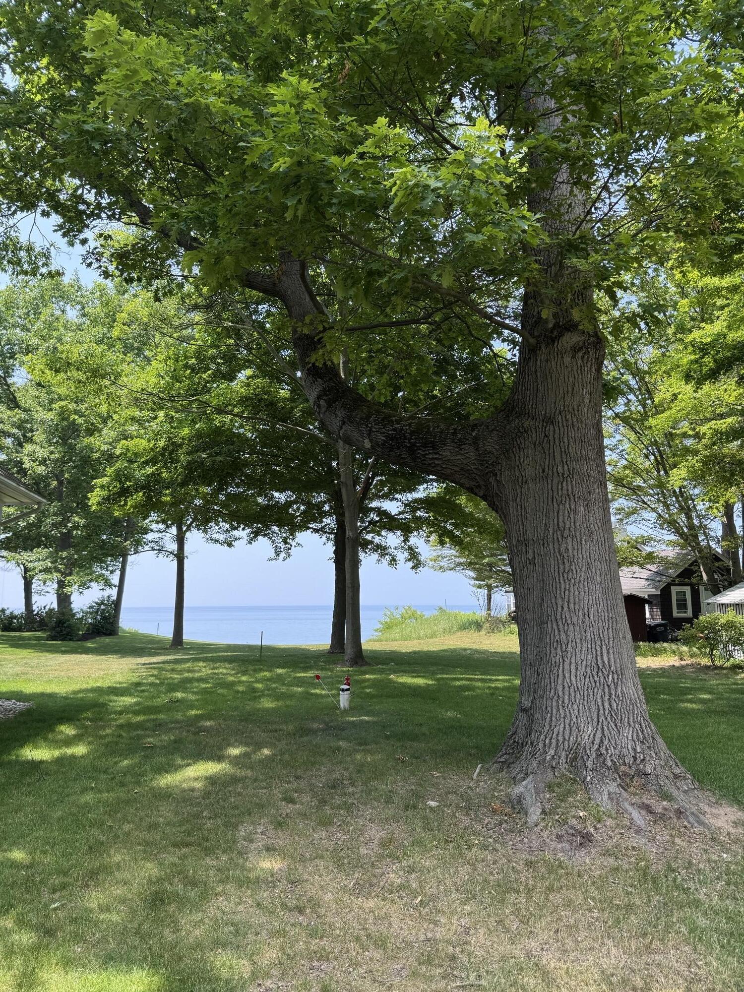 16618 77th Street Street