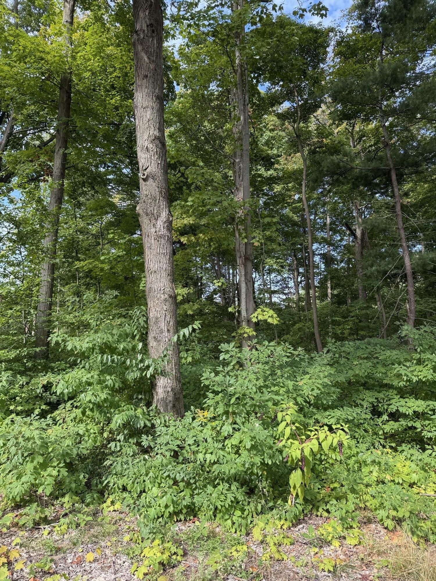 14672 Crest View Court