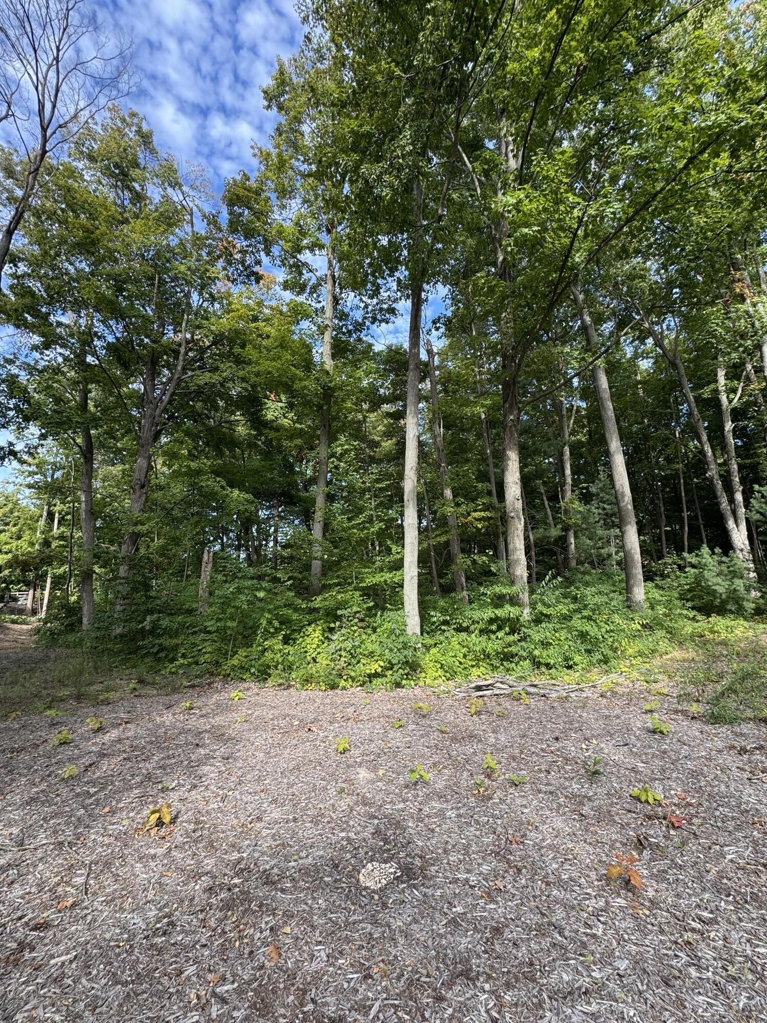 14672 Crest View Court